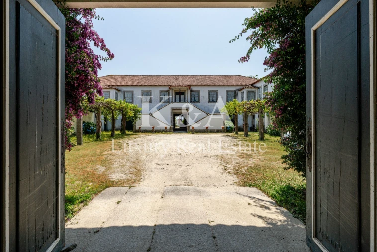 Quinta T10 para Venda em Gondifelos, Cavalões e Outiz Foto 2