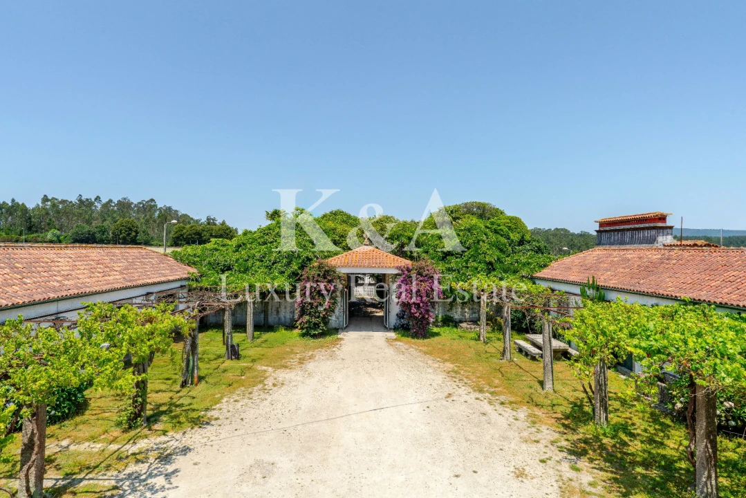 Quinta T10 para Venda em Gondifelos, Cavalões e Outiz Foto 4