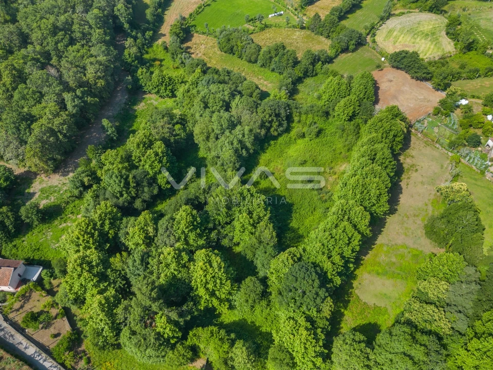 Terreno Agricola ou Rústico para Venda em Pico Foto 11