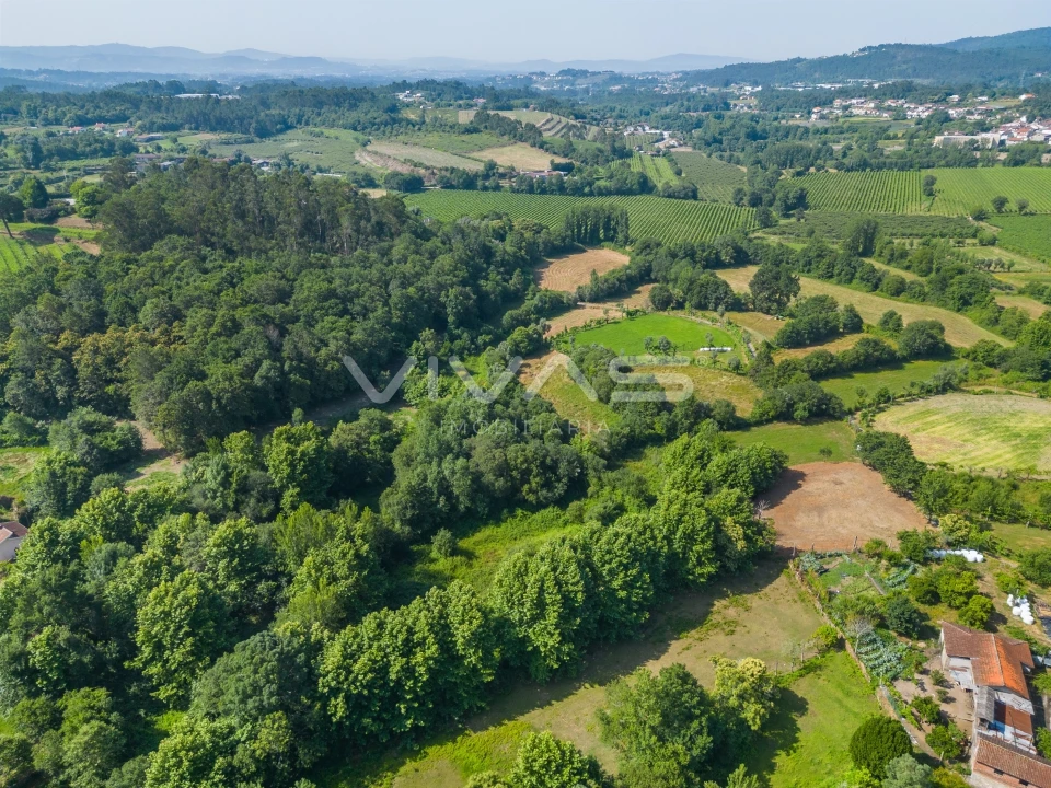Terreno Agricola ou Rústico para Venda em Pico Foto 15