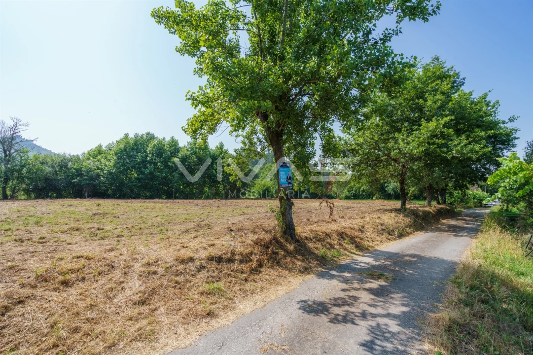 Terreno Agricola ou Rústico para Venda em Pico Foto 2