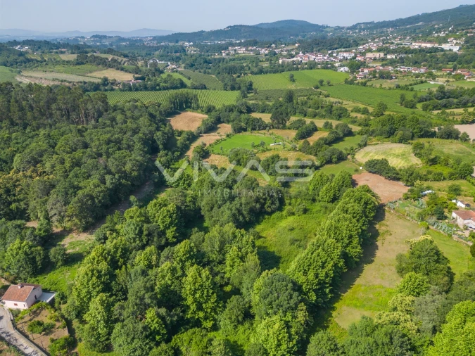 Terreno Agricola ou Rústico para Venda em Pico Foto 12