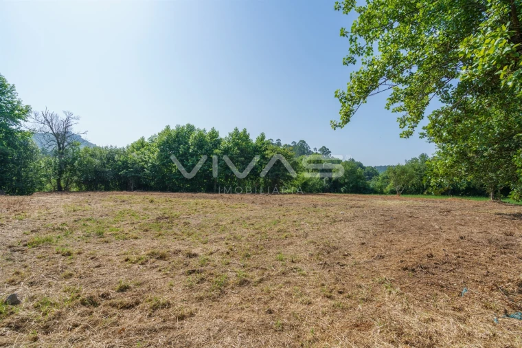 Terreno Agricola ou Rústico para Venda em Pico Foto 4