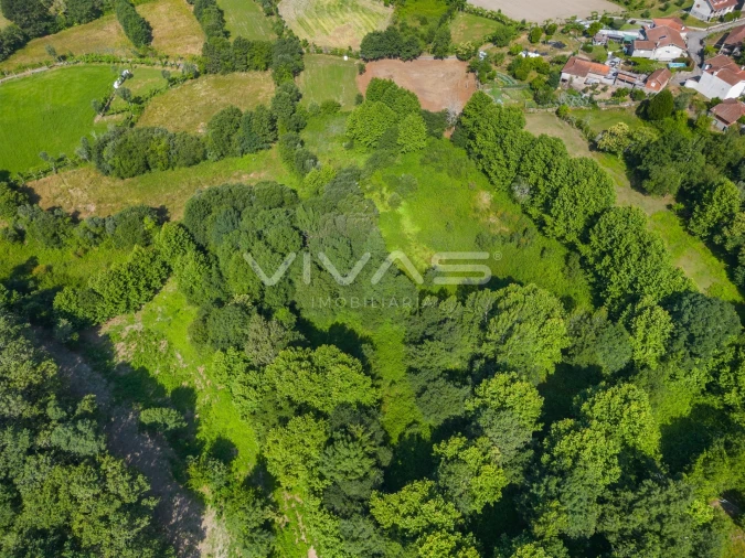 Terreno Agricola ou Rústico para Venda em Pico Foto 10