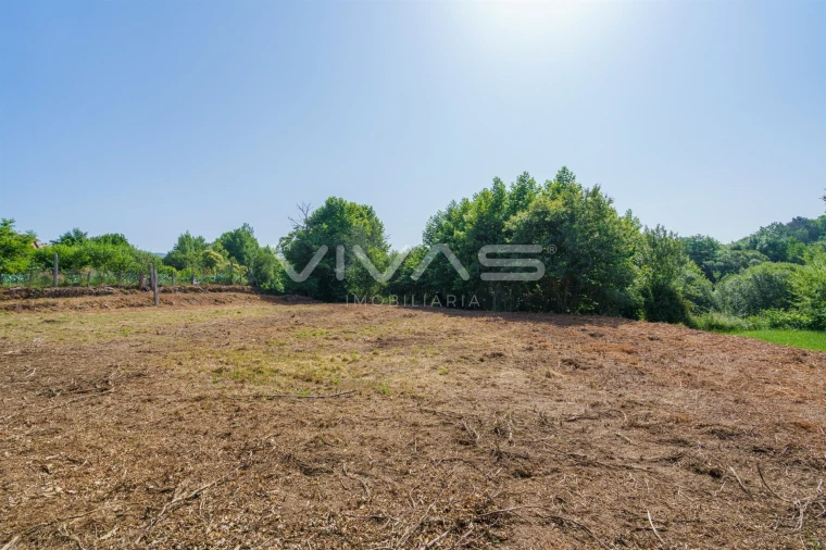 Terreno Agricola ou Rústico para Venda em Pico Foto 5