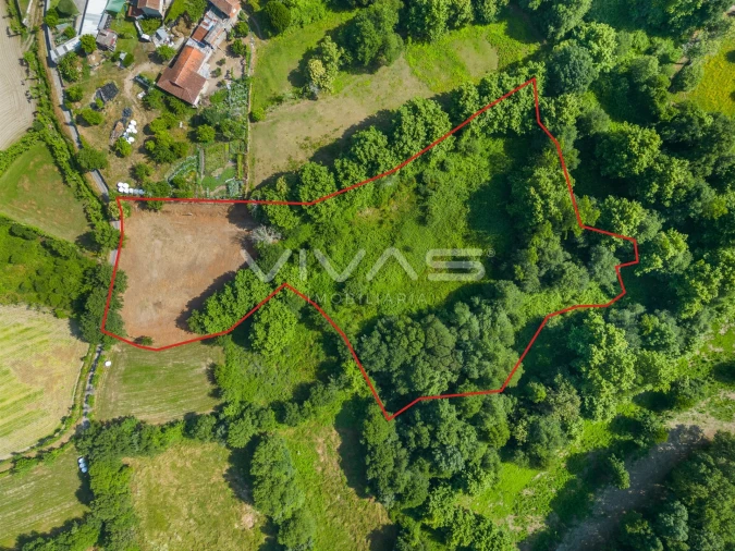 Terreno Agricola ou Rústico para Venda em Pico Foto 18