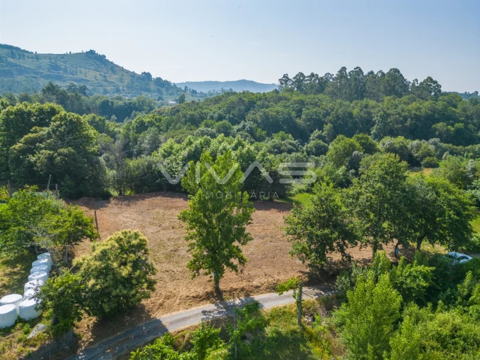 Terreno Agricola ou Rústico para Venda em Pico Foto 17