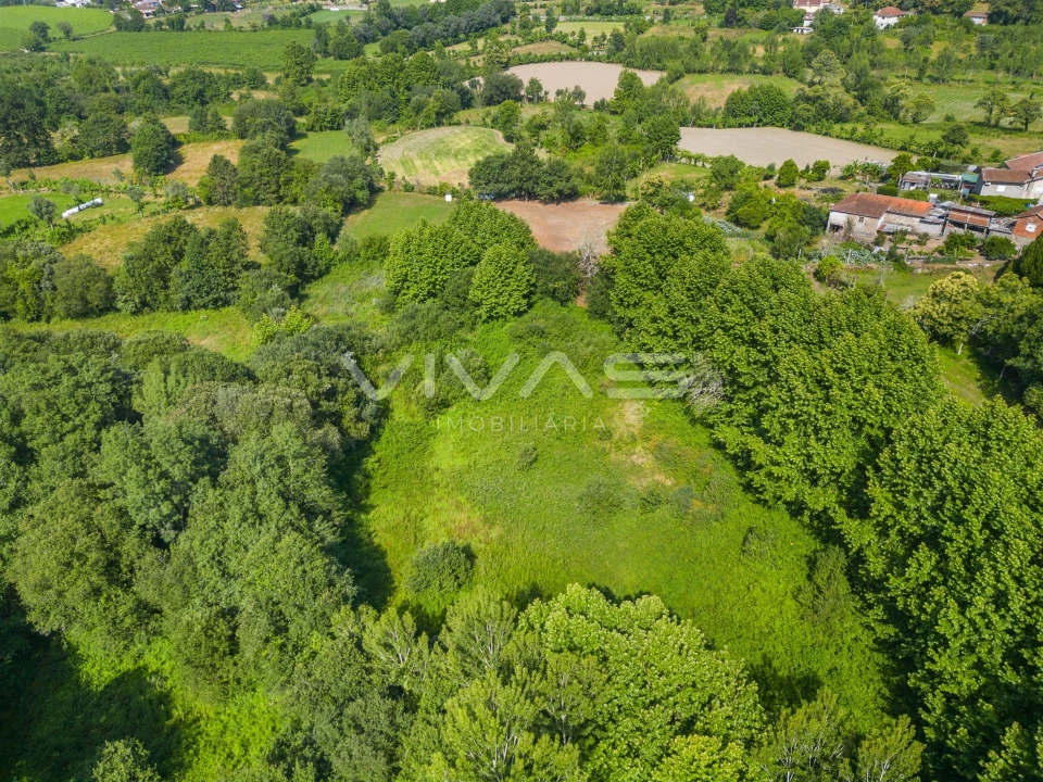 Terreno Agricola ou Rústico para Venda em Pico Foto 13