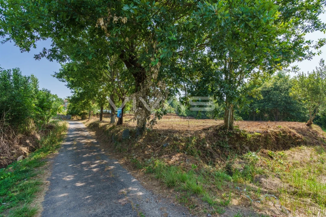Terreno Agricola ou Rústico para Venda em Pico Foto 1