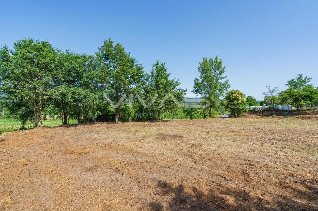 Terreno Agricola ou Rústico para Venda em Pico Foto 6