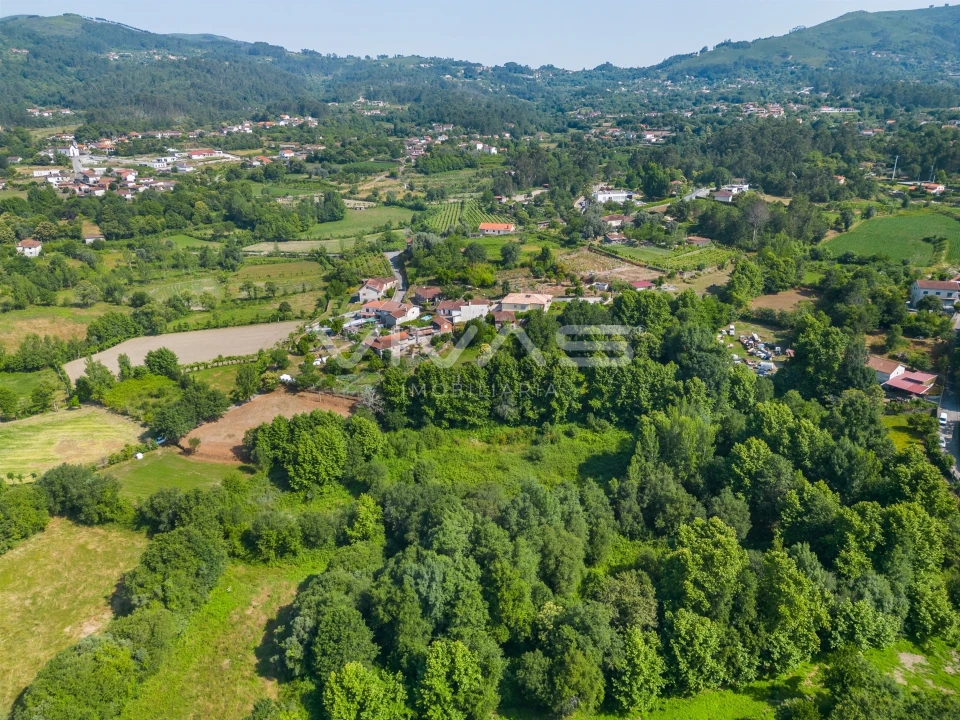 Terreno Agricola ou Rústico para Venda em Pico Foto 14