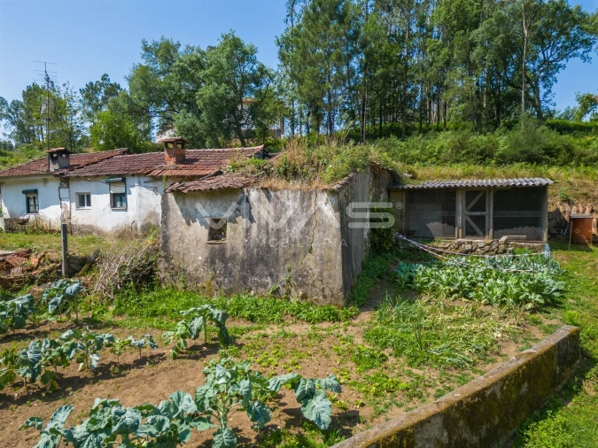 Moradia T0 para Venda em Marrancos e Arcozelo Foto 7