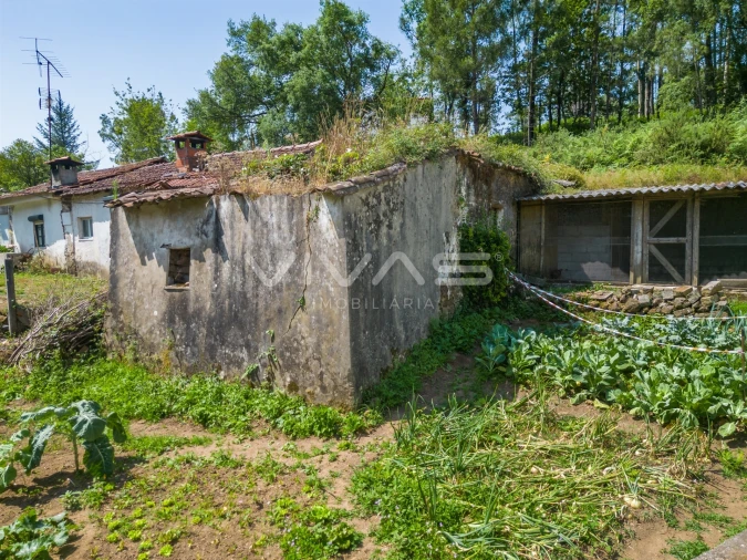 Moradia T0 para Venda em Marrancos e Arcozelo Foto 8