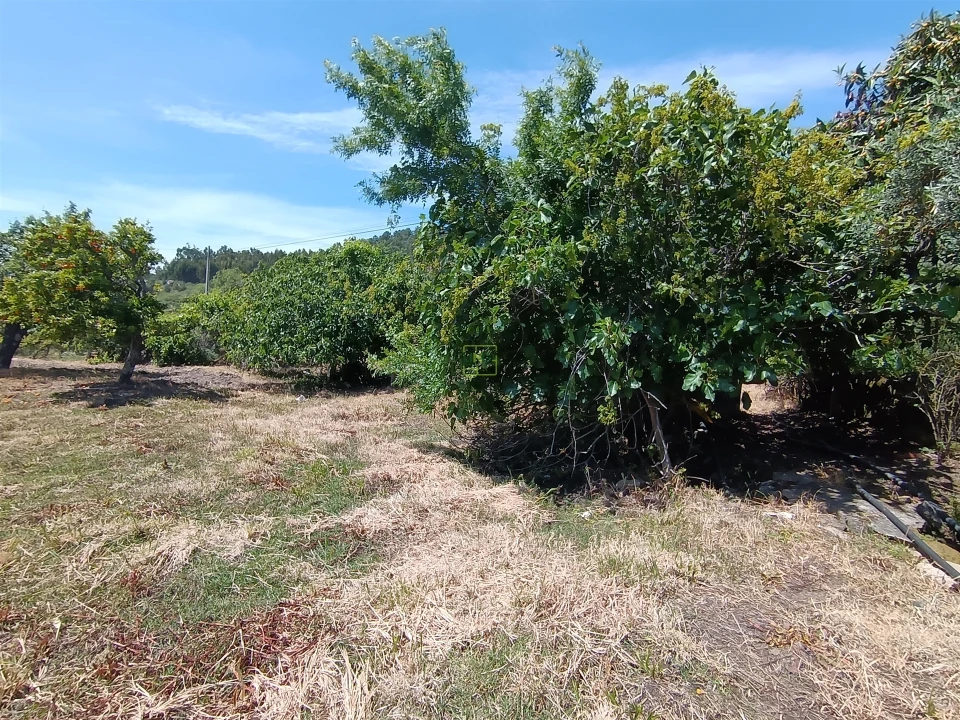 Quinta T0 para Venda em Penamacor Foto 19