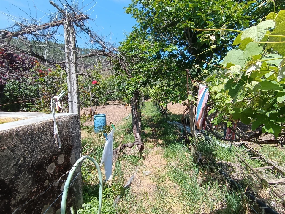 Quinta T0 para Venda em Penamacor Foto 6