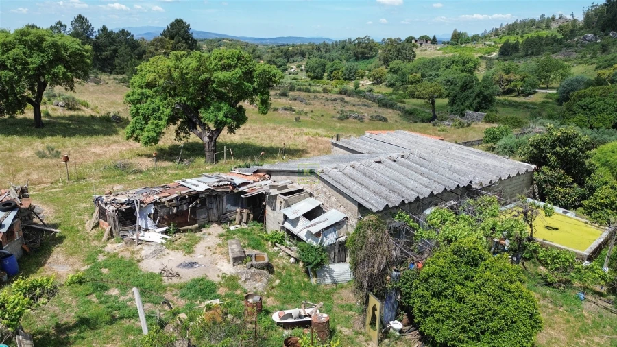 Quinta T0 para Venda em Penamacor Foto 2
