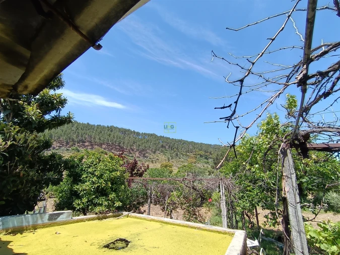 Quinta T0 para Venda em Penamacor Foto 10