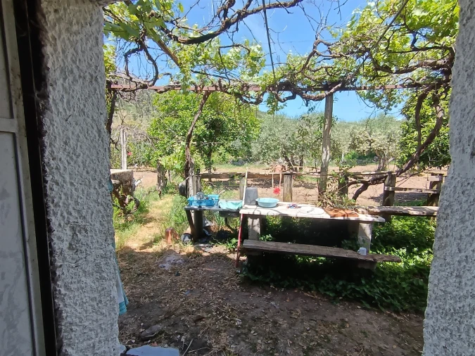 Quinta T0 para Venda em Penamacor Foto 5