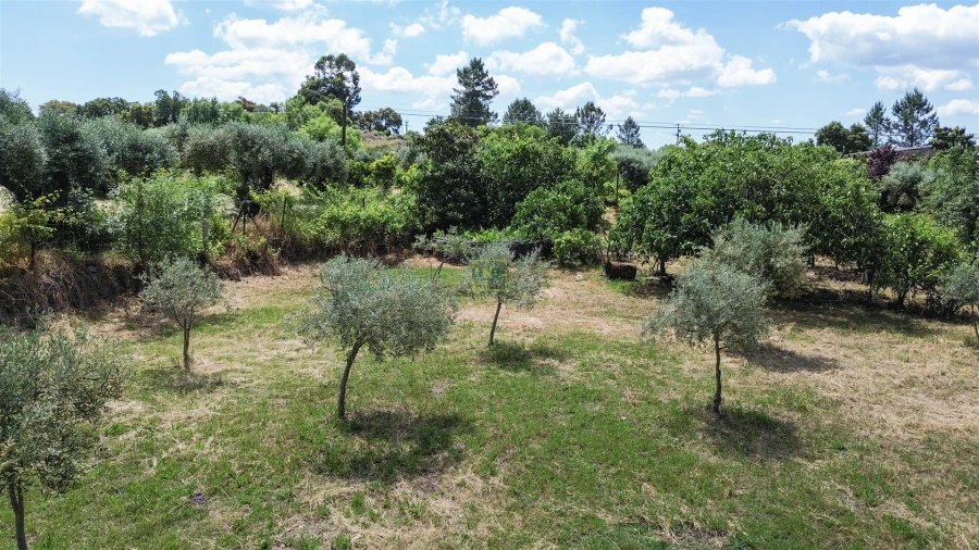 Quinta T0 para Venda em Penamacor Foto 29