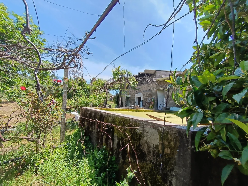 Quinta T0 para Venda em Penamacor Foto 11