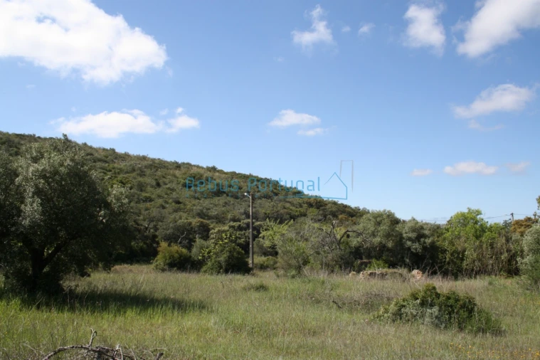 Terreno Misto para Venda em Santa Barbara de Nexe Foto 6