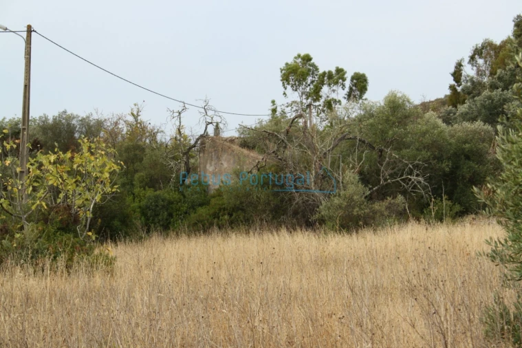 Terreno Misto para Venda em Santa Barbara de Nexe Foto 10