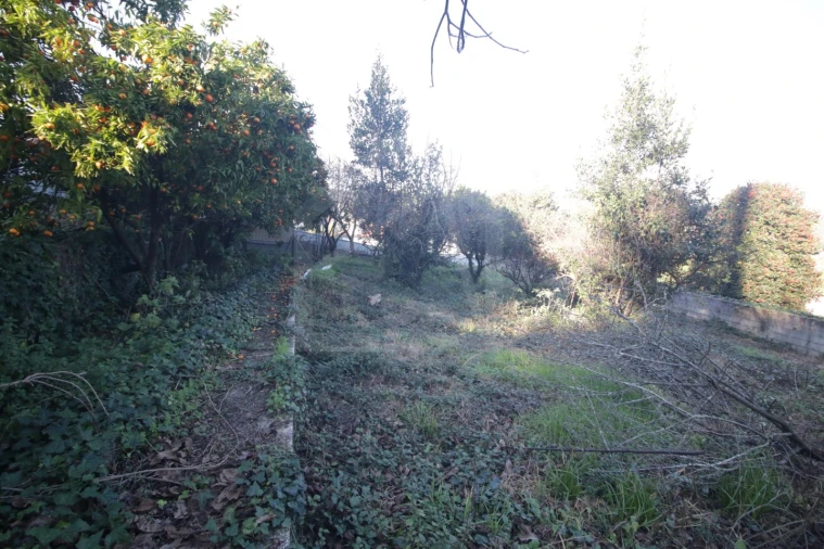 Moradia T3 para Venda em Junqueira Foto 5