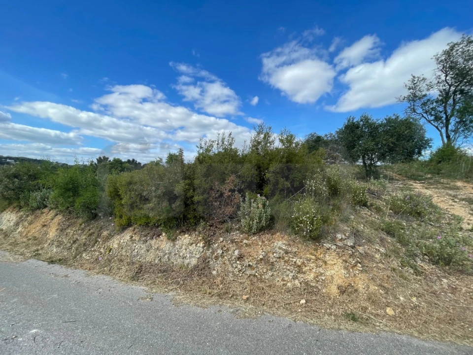 Terreno para Venda em Carregueiros Foto 14