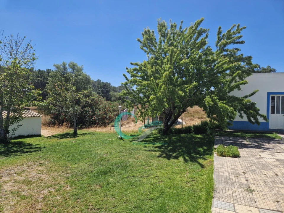 Moradia T4 para Venda em Azeitão (São Lourenço e São Simão) Foto 31