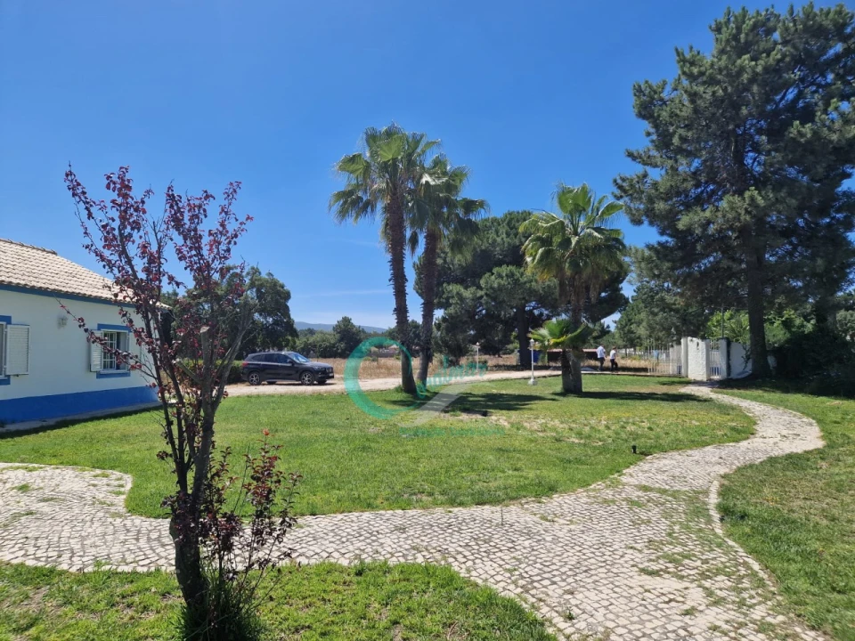 Moradia T4 para Venda em Azeitão (São Lourenço e São Simão) Foto 35