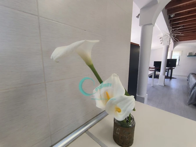 Moradia T4 para Venda em Azeitão (São Lourenço e São Simão) Foto 4