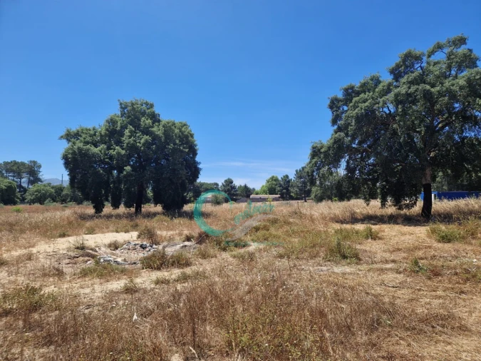 Moradia T4 para Venda em Azeitão (São Lourenço e São Simão) Foto 29