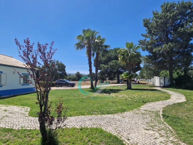 Moradia T4 para Venda em Azeitão (São Lourenço e São Simão) Foto 35