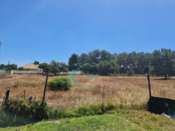 Moradia T4 para Venda em Azeitão (São Lourenço e São Simão) Foto 43