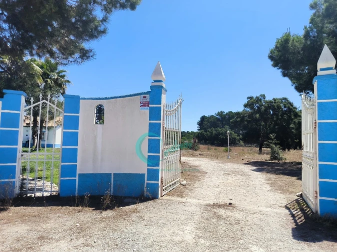 Moradia T4 para Venda em Azeitão (São Lourenço e São Simão) Foto 46