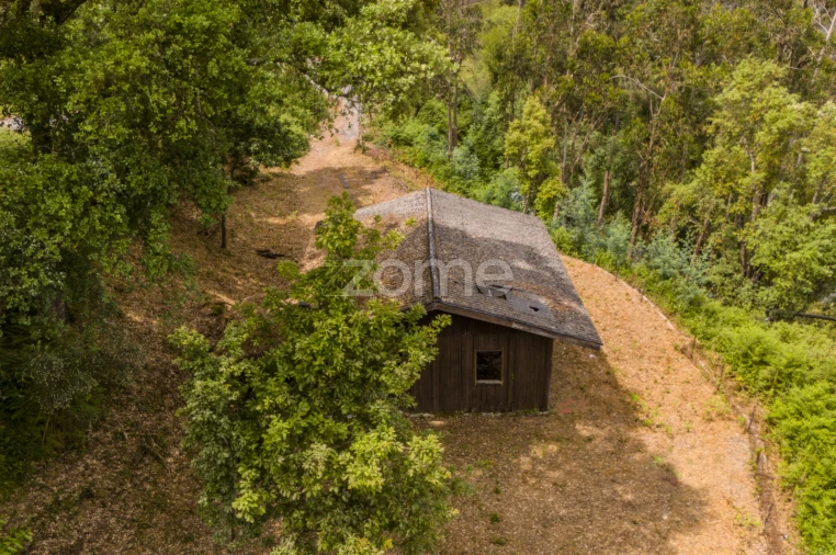 Terreno para Venda em Lindoso Foto 21