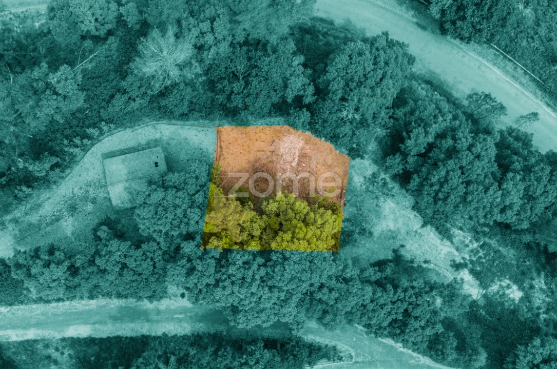 Terreno para Venda em Lindoso Foto 9