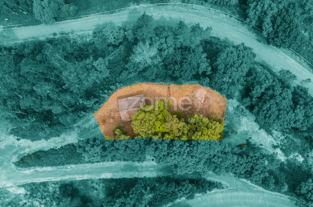 Terreno para Venda em Lindoso Foto 7