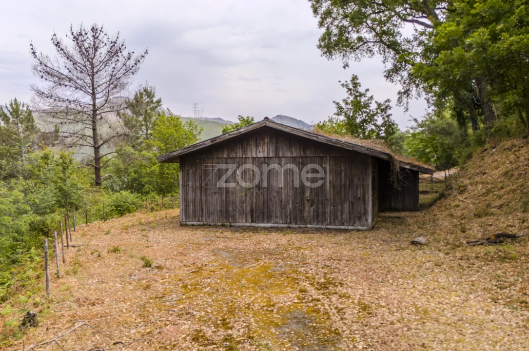 Terreno para Venda em Lindoso Foto 19