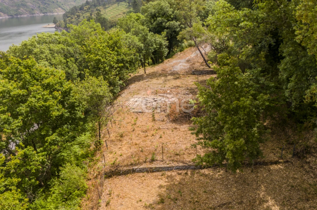 Terreno para Venda em Lindoso Foto 21