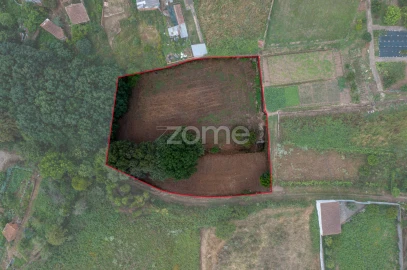 Terreno para Venda em Albergaria-A-Velha e Valmaior