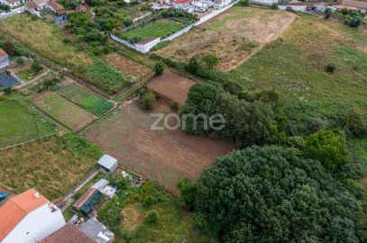 Terreno para Venda em Albergaria-A-Velha e Valmaior
