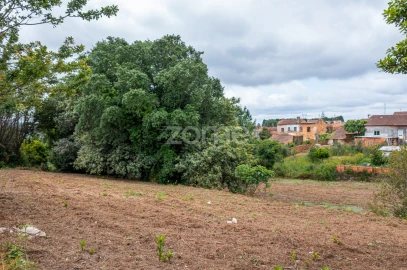 Terreno para Venda em Albergaria-A-Velha e Valmaior