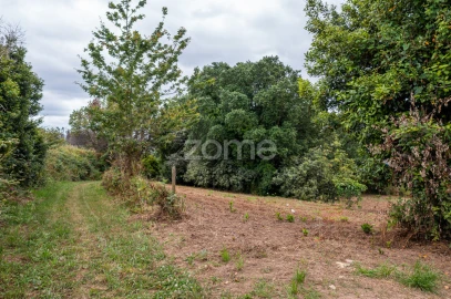 Terreno para Venda em Albergaria-A-Velha e Valmaior