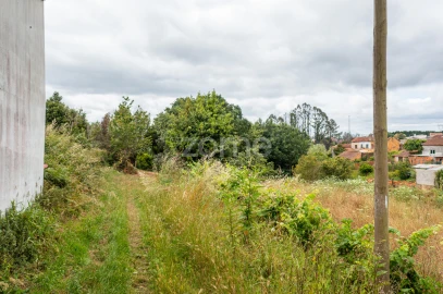 Terreno para Venda em Albergaria-A-Velha e Valmaior