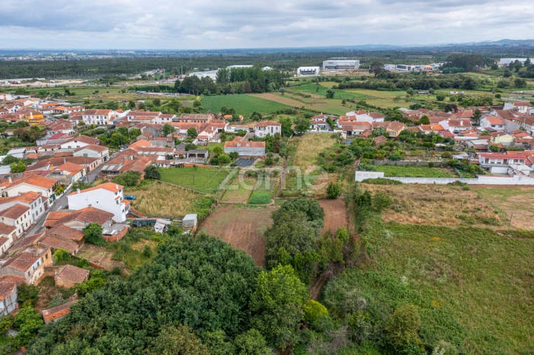 Terreno para Venda em Albergaria-A-Velha e Valmaior Foto 21
