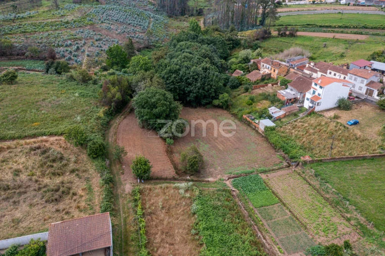 Terreno para Venda em Albergaria-A-Velha e Valmaior Foto 4