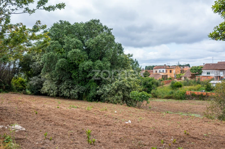 Terreno para Venda em Albergaria-A-Velha e Valmaior Foto 13
