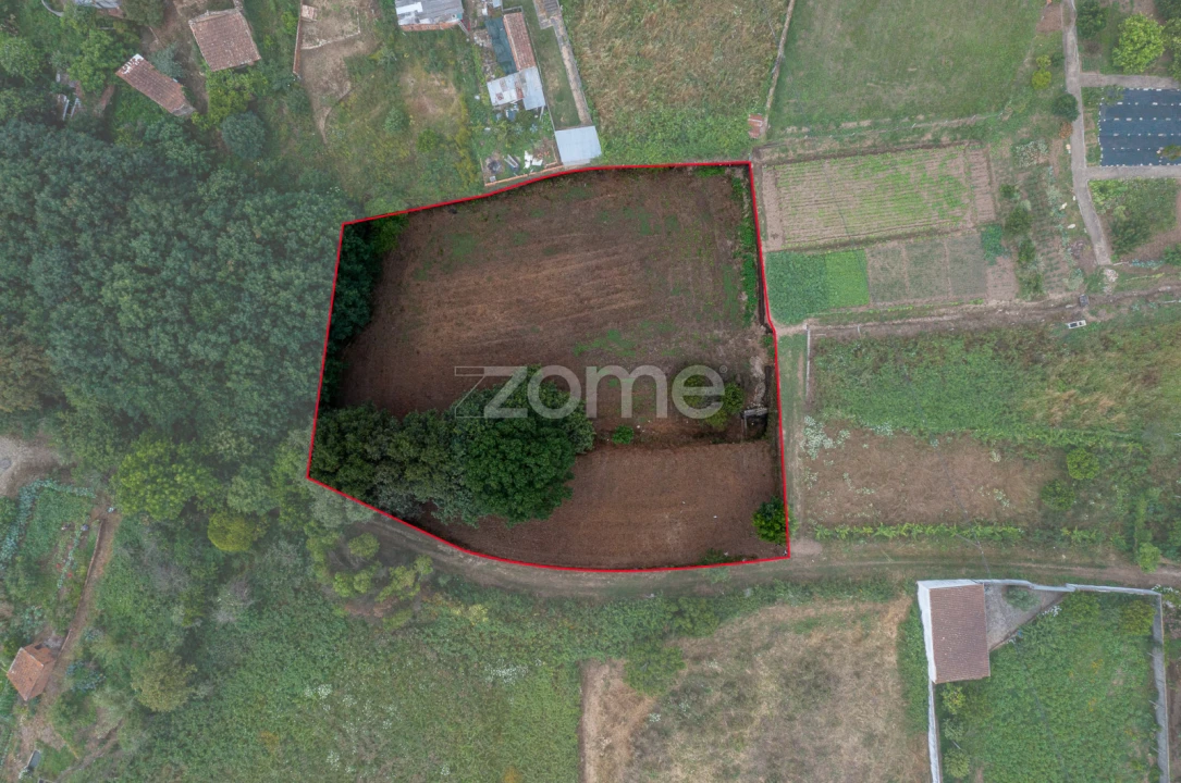Terreno para Venda em Albergaria-A-Velha e Valmaior Foto 1