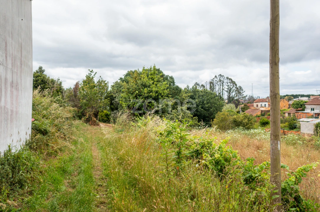 Terreno para Venda em Albergaria-A-Velha e Valmaior Foto 24